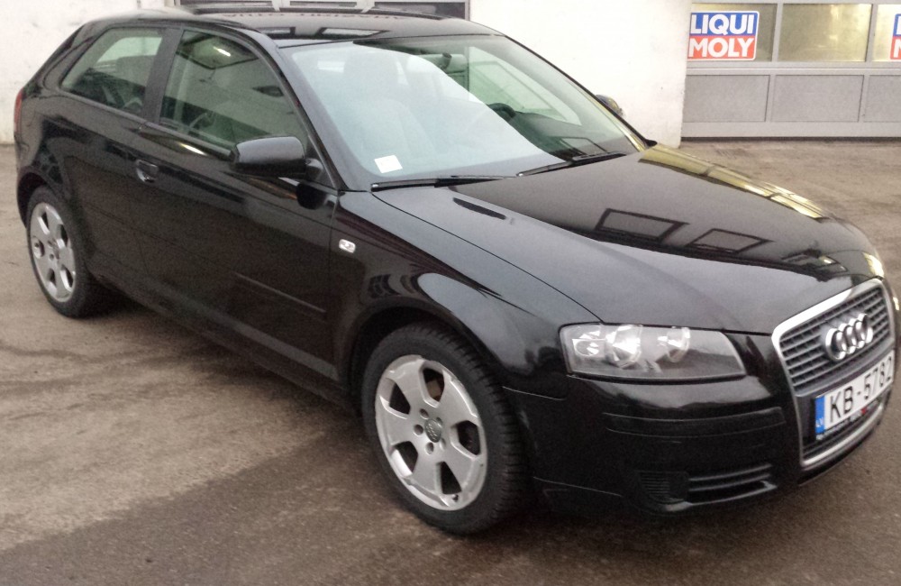 AUDI A3 / 2006 / DĪZELIS 1.9 #110
